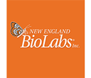 New England Biolabs